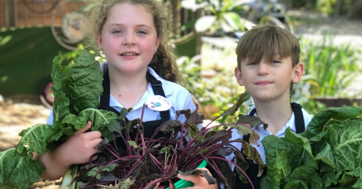 Kitchen Garden Foundation: Pleasurable Food Education to Seaforth Primary School Students